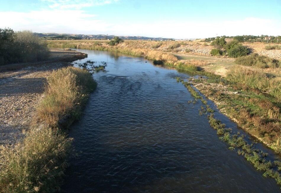 Organizaciones ecologistas denuncian la degradación consentida de los ríos madrileños