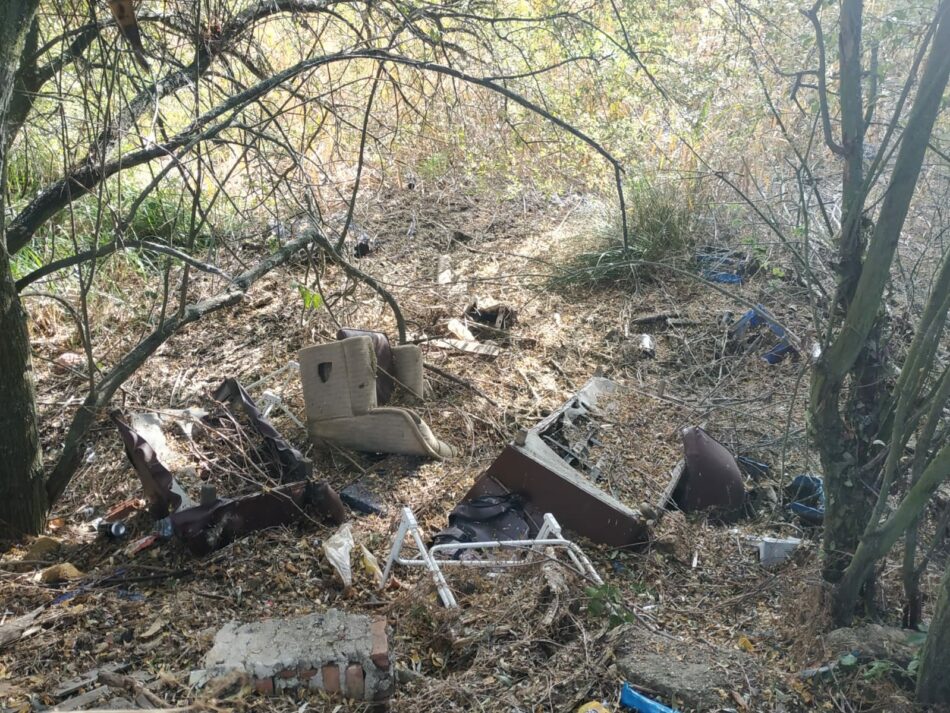 IU de San Andrés del Rabanedo denuncia nuevamente el estado de abandono de la Laguna de las Carrizas