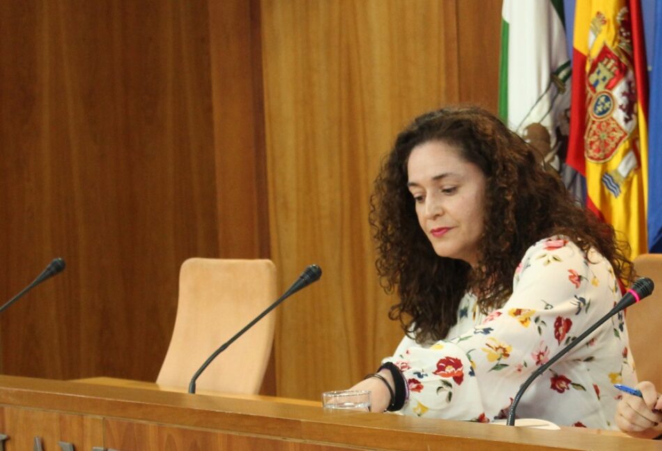 Inmaculada Nieto afirma que el Gobierno andaluz «ningunea la violencia machista con el teléfono de violencia intrafamiliar para no enfadar a Vox»