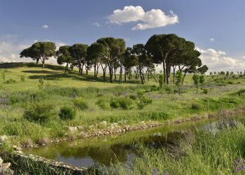 Podemos Madrid exige que se mantenga la decisión de los vecinos y vecinas sobre la denominación del “Parque de Valdebebas”