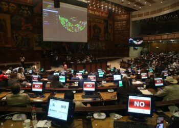 La Asamblea Nacional de Ecuador impide la despenalización del aborto en caso de violación