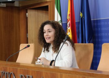 Nieto anima a Vox a «dar explicaciones por el uso indebido de dinero público por parte de sus dirigentes» en lugar de perseguir al tejido social andaluz