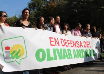 IU Andalucía pide «mayor regulación» para proteger al sector del olivar frente a «empresas especuladoras y fondos buitre»