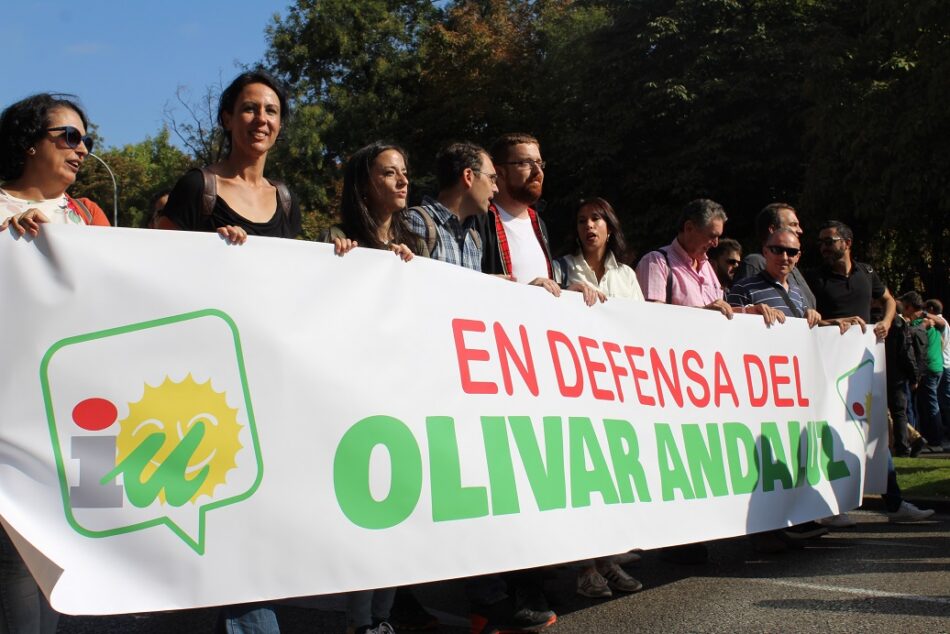 IU Andalucía pide «mayor regulación» para proteger al sector del olivar frente a «empresas especuladoras y fondos buitre»