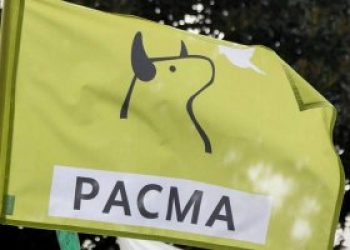 PACMA: una mujer a la Presidencia del Gobierno, 70% de mujeres en cabeza y una ReEvolución