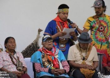 Colombia. Autoridades indígenas piden que la Amazonía sea declarada libre de concesiones minero-energéticas