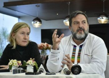 Manu Pineda considera una “irresponsabilidad” que la UE pida una segunda vuelta electoral en Bolivia cuando «los resultados confirman la reelección de Morales»