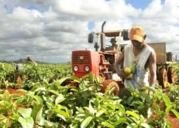 Cuba denuncia freno agrícola por bloqueo impuesto por EE.UU.