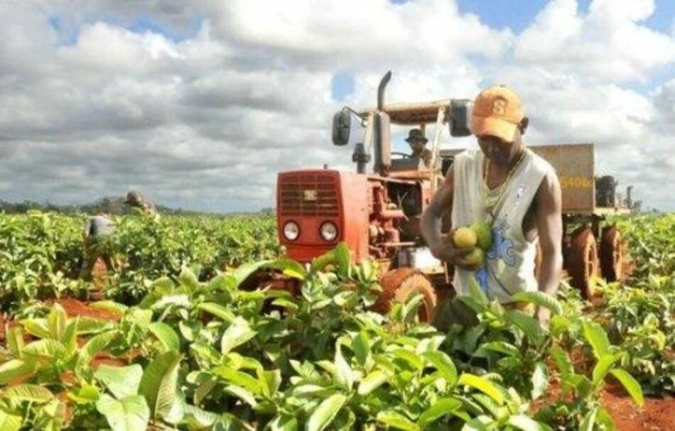 Cuba denuncia freno agrícola por bloqueo impuesto por EE.UU.