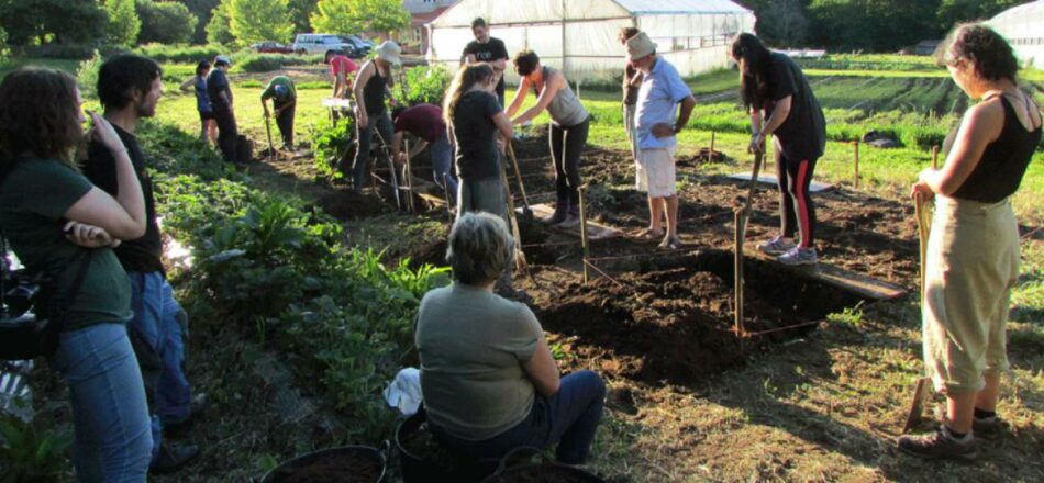 Amigos de la Tierra promueve nuevas iniciativas agroecológicas con su proyecto de cultivo biointensivo