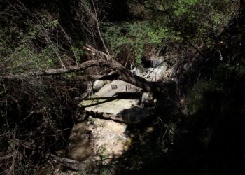 Aguas fecales pestilentes discurren al aire libre por un bosque protegido en Madrid