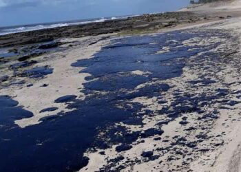 Solicitan comisión para investigar derrame de petróleo en Brasil