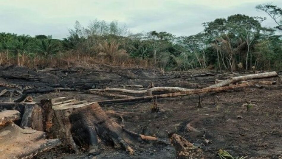 Bolivia. Confirman control total de incendios en la Chiquitanía