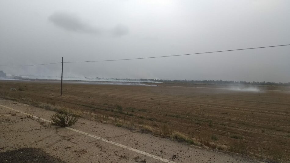 Ecologistas Extremadura denuncia a la fiscalía de medioambiente las quemas ilegales en las vegas altas y bajas del Guadiana