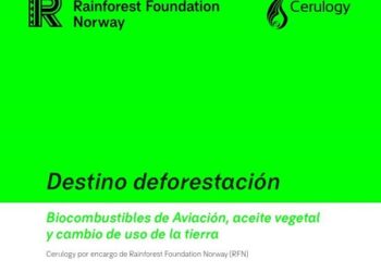 Los objetivos climáticos de la aviación podrían conducir a la deforestación de más de tres millones de hectáreas de selva