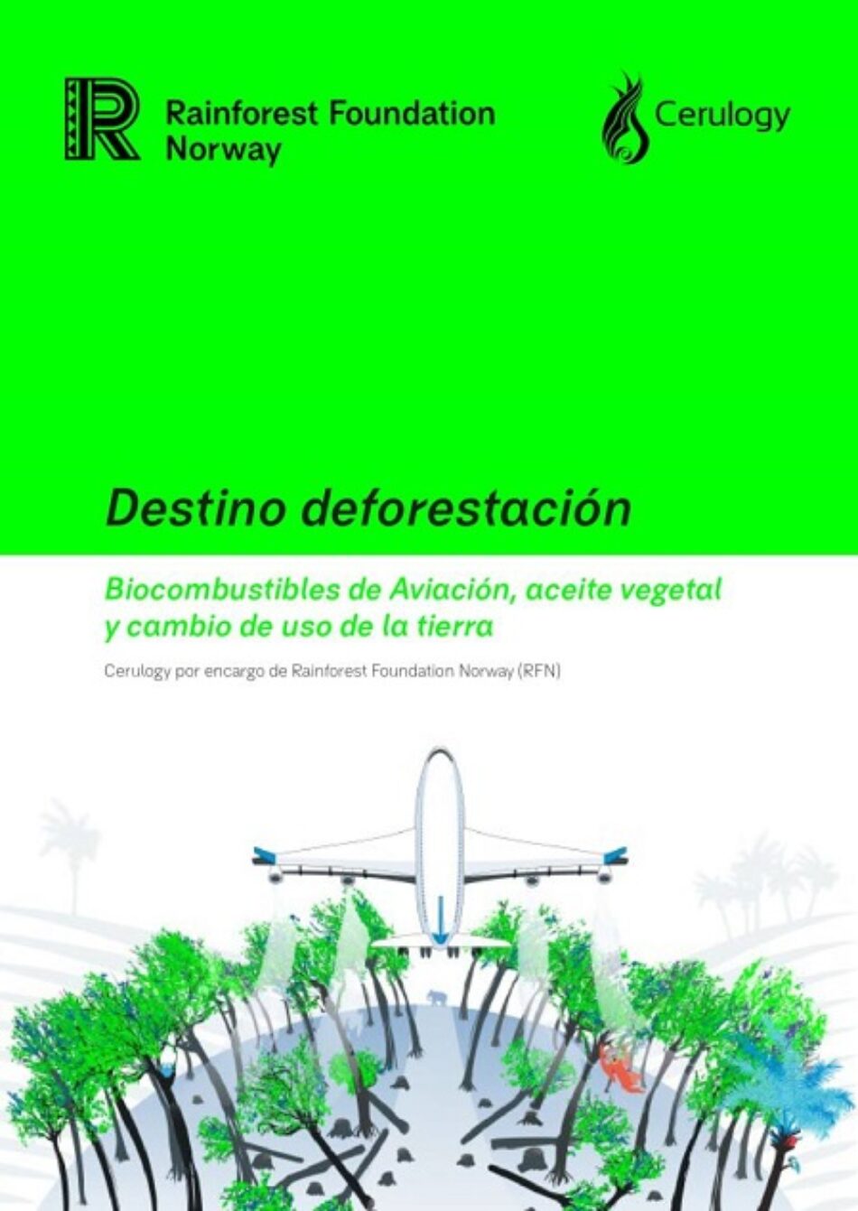 Los objetivos climáticos de la aviación podrían conducir a la deforestación de más de tres millones de hectáreas de selva