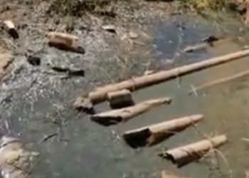 Ecologistas Extremadura denuncia vertidos contaminantes en Torremejía