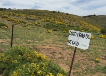 Se inicia una campaña para paralizar la norma que permitiría cazar en caminos públicos y vías pecuarias de Castilla-La Mancha