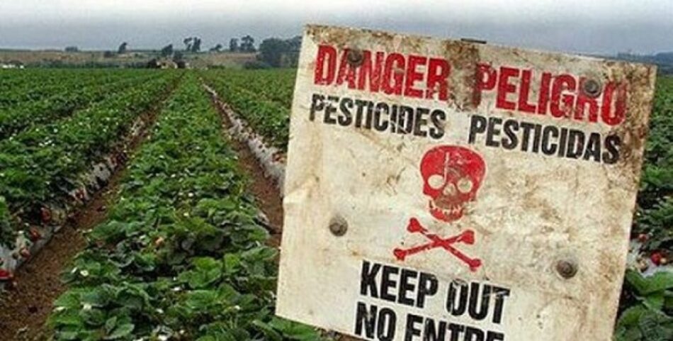 Ecologistas en Acción y Amigos de la Tierra lanzan una campaña para prohibir los plaguicidas sintéticos