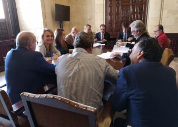 Adelante Sevilla obliga a la retirada de la propuesta de modificación de la RPT para el Instituto Municipal de Deportes