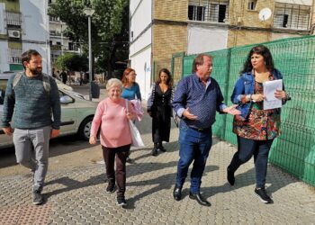 Adelante Sevilla reclama una mejor limpieza y más equipamientos para la barriada del Rocío