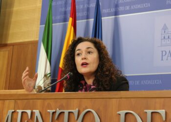 Adelante Andalucía ve «una falta de respeto» que el PP normalice los ceses por los recortes en la sanidad pública andaluza