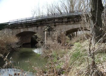 Organizaciones ecologistas denuncian la degradación y el olvido del Río Tajuña