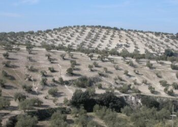 La última PAC antes del desierto