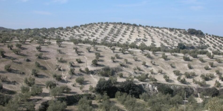 La última PAC antes del desierto