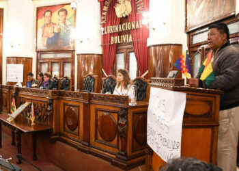 Bolivia. Sesionó el Parlamento con la presencia de los diputados del MAS