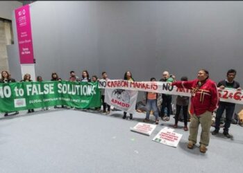 COP 25: la vieja desesperanza