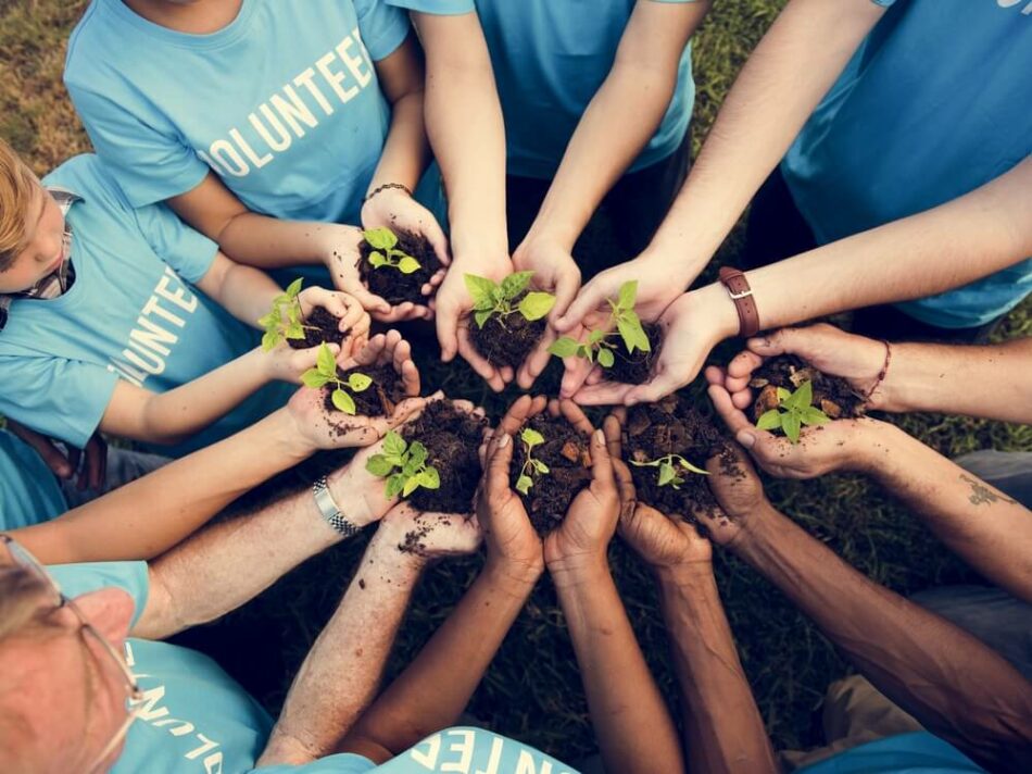 5D. Día del voluntariado. Reconocer a las personas voluntarias es poner en valor el papel que tienen con agentes de cambio