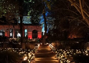 Christmas Garden: un espectáculo de luces y sonido impropio para el Real Jardín Botánico de Madrid