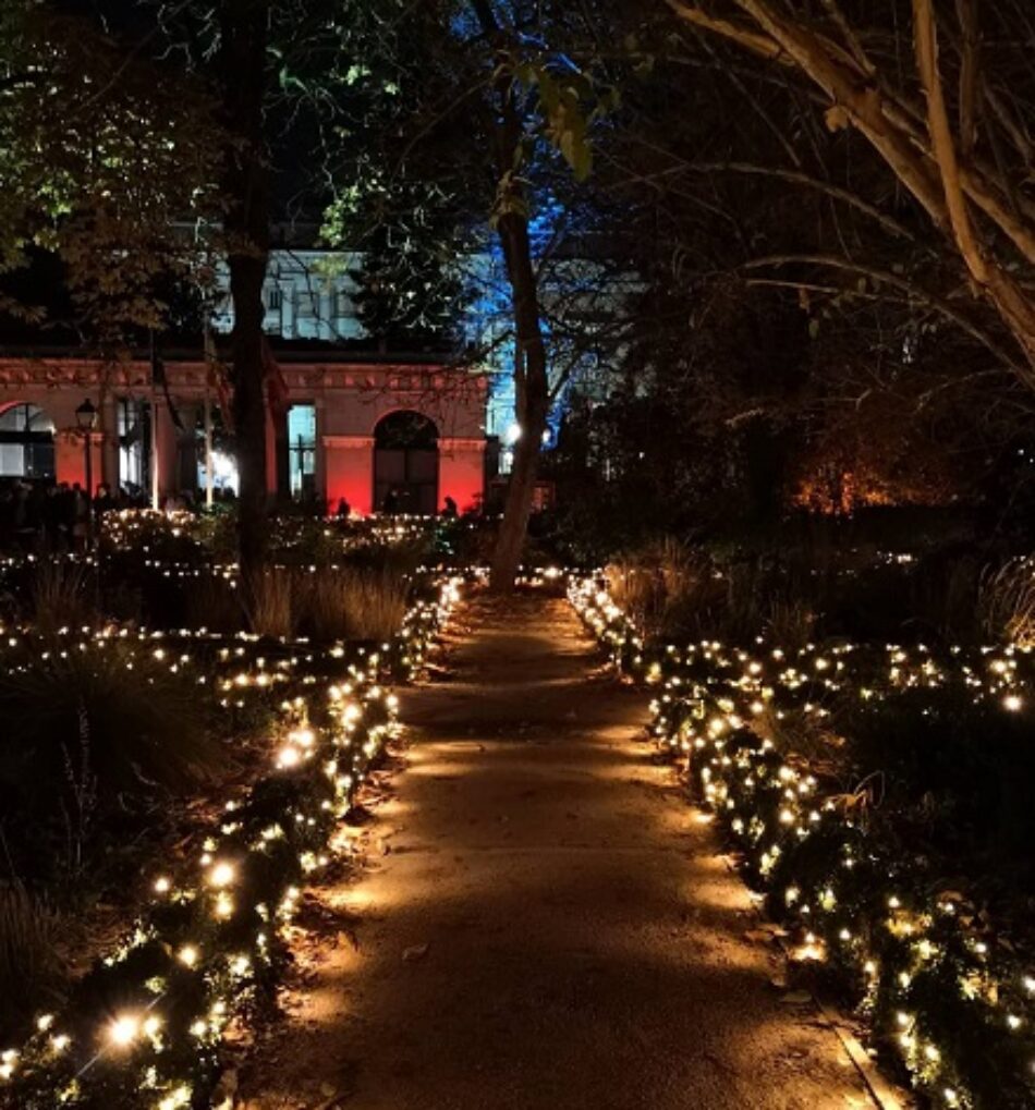 Christmas Garden: un espectáculo de luces y sonido impropio para el Real Jardín Botánico de Madrid
