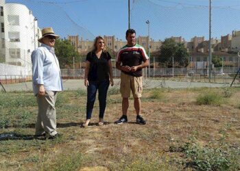 Adelante Sevilla exige revertir el desmantelamiento que sufre el Instituto Municipal de Deportes