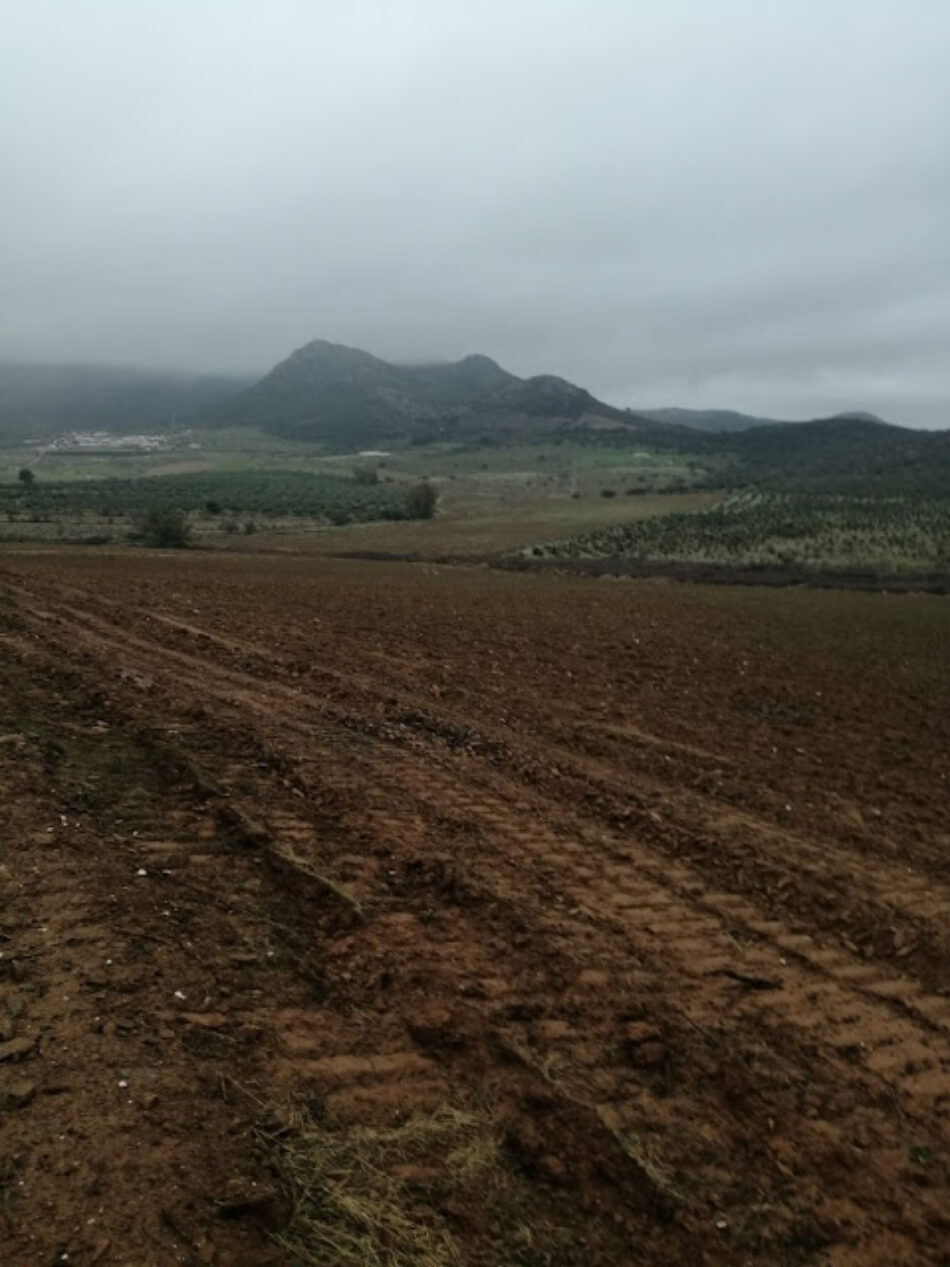 Ecologistas Extremadura denuncia un nuevo cambio de cultivo a regadío sin autorización en el ZIR-ZEPA Embalse de Orellana y Sierra de Pela