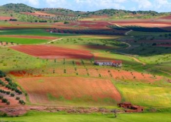 Invitan a las cinco grandes organizaciones ecologistas a adherirse al manifiesto por una Transición Ecológica Justa