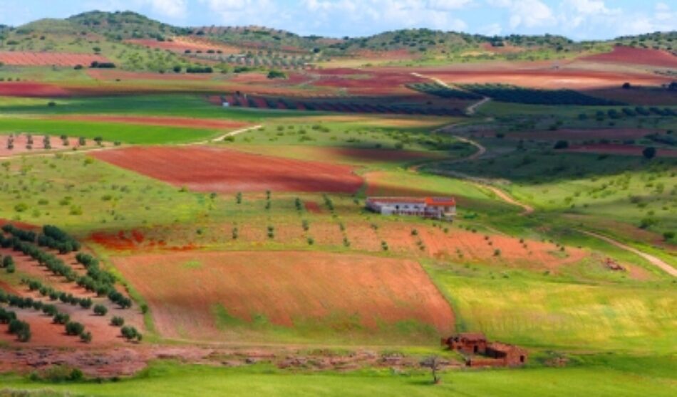 Invitan a las cinco grandes organizaciones ecologistas a adherirse al manifiesto por una Transición Ecológica Justa