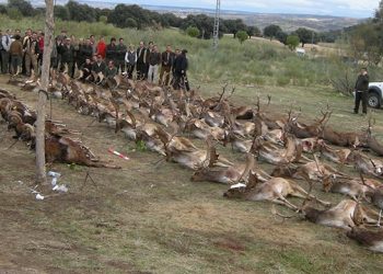 PSOE, PP y Ciudadanos aprueban en la Asamblea de Extremadura pedir se declare Bien de Interés Cultural las Monterías y Rehala