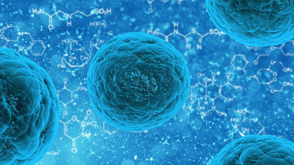 Descubren vitamina que protege a células cancerosas y las vuelve resistentes a la quimio