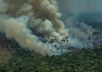 2019: El año en el que los grandes incendios forestales han evidenciado la emergencia climática