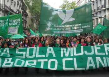 El ministro de Salud de Argentina presenta el nuevo protocolo de aborto no punible