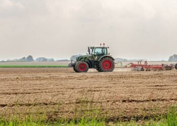 Los datos contradicen que la subida del salario mínimo haya provocado un aumento del paro en el sector agrario de Extremadura