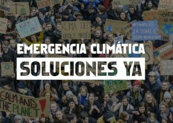 Greenpeace pide al nuevo Gobierno ambición y urgencia en la lucha contra el cambio climático y la crisis de biodiversidad