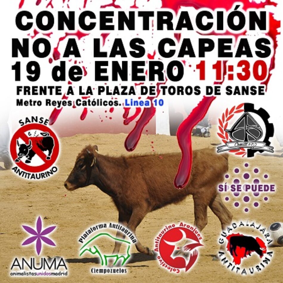 Concentración Sanse Antitaurino ¡No a las Capeas!