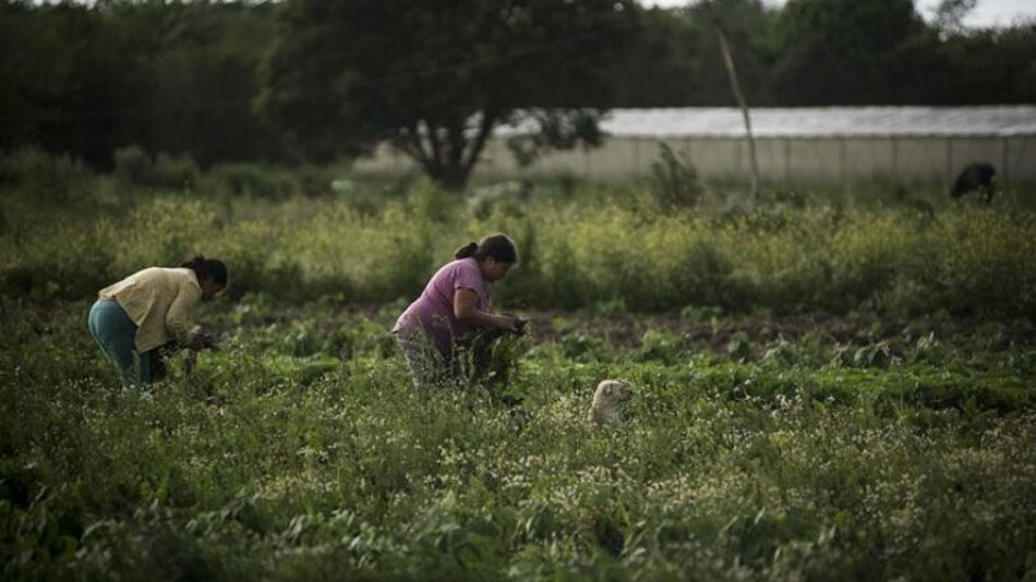 Guatemala y el Neocolonialismo