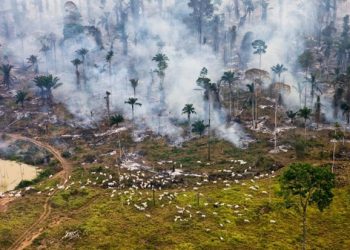 La CARICOM destaca el vínculo de la biodiversidad con el desarrollo sostenible