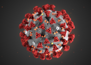 Manual de supervivencia informativa a la crisis del coronavirus