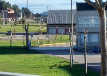 DEBA y el Concejo Abierto acusan a los técnicos municipales de parques y jardines de Santander de incompetencia por su nefasta gestión arboricida