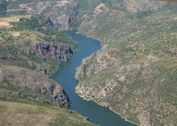 Ecologistas en Acción reclama la reducción del glifosato en la cuenca hidrográfica del río Duero